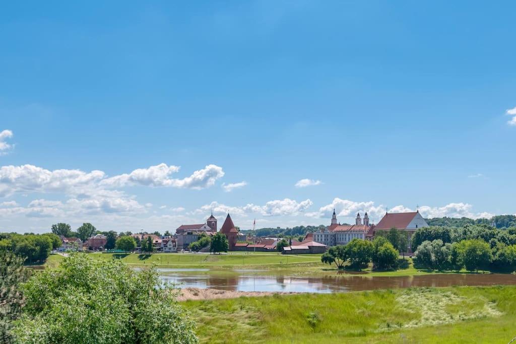 Bright Kaunas Apartment With Castle View Buitenkant foto